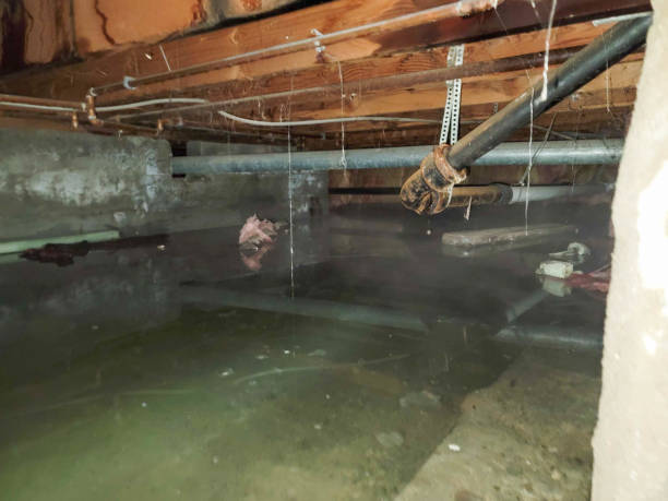 Best Flooded house restoration  in Latta, OK