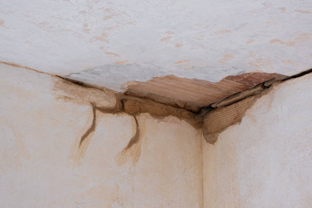 Best Sewage cleanup and water damage restoration  in Latta, OK
