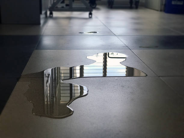 Best Professional water damage repair  in Latta, OK