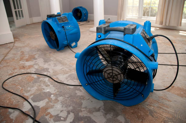 Best Water damage restoration experts  in Latta, OK