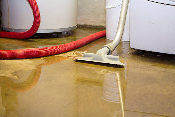 Best Water damage restoration near me  in Latta, OK