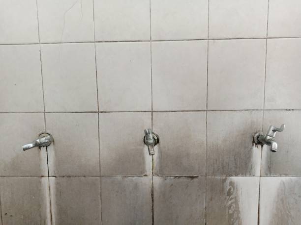 Best Water damage restoration services  in Latta, OK