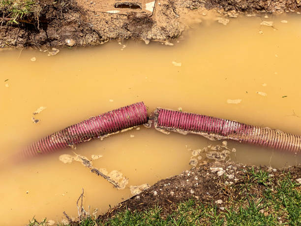Best Mold removal after water damage  in Latta, OK