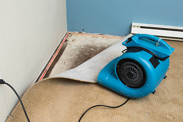 Water damage restoration mold remediation in Latta, OK